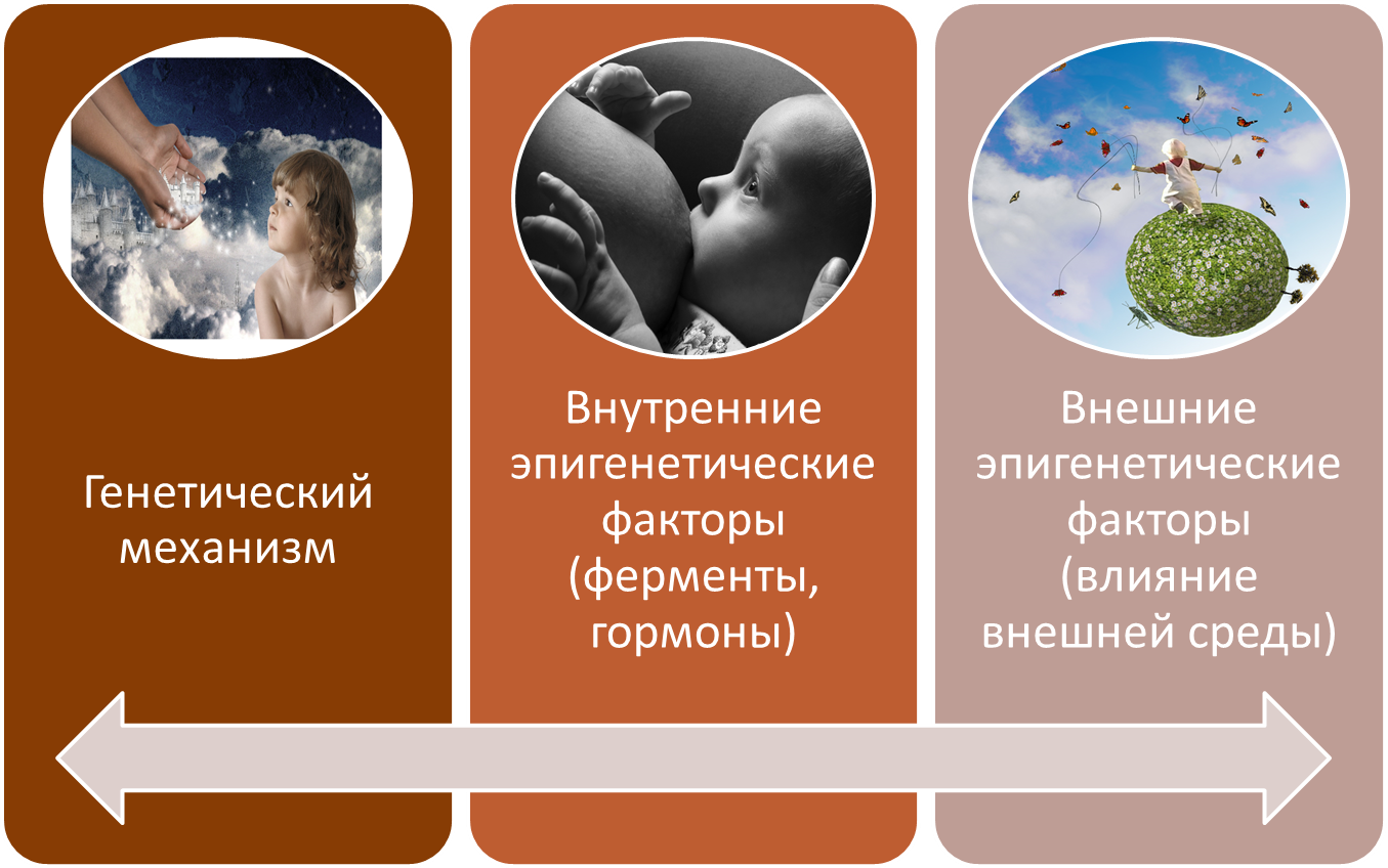 Родила царица в ночь...