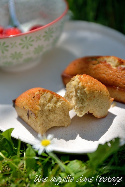 Financier à la farine de lentilles vertes