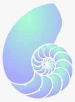 A blue Sea Shell