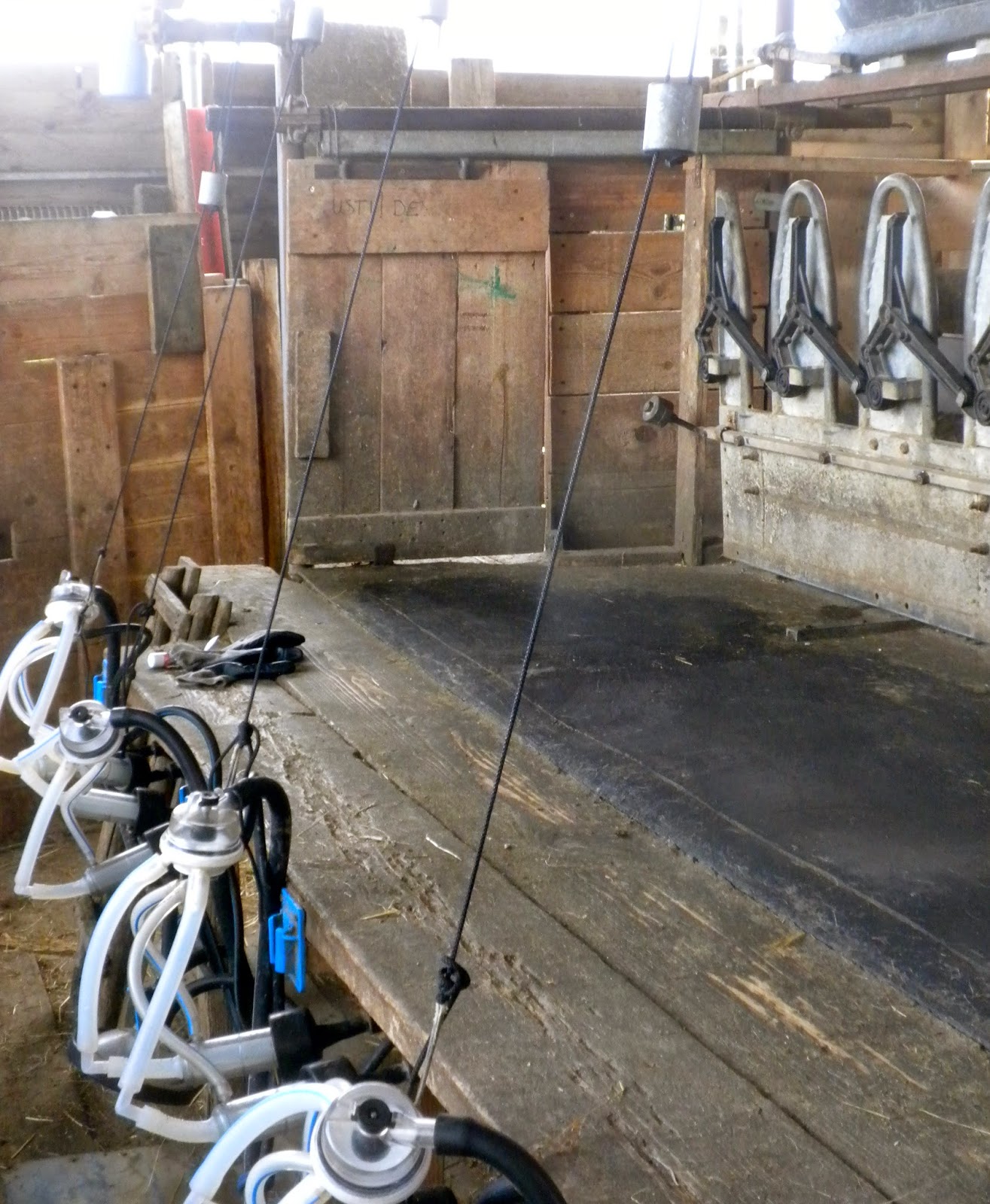 milking station