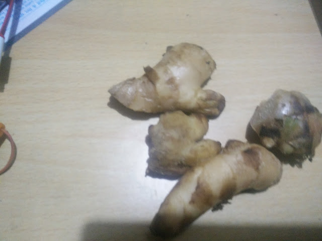Health Benefits of ginger - Treatment Of Respiratory Problems