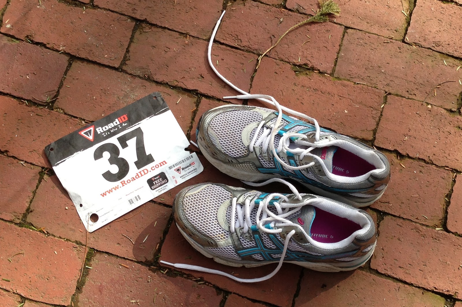 My New Normal: The only way to run faster is to run faster. Drat.