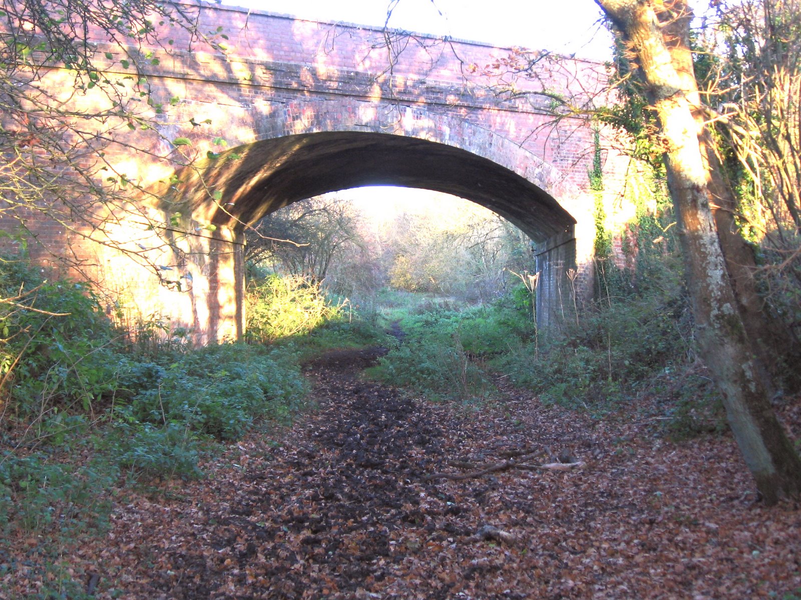 Rail Thing Friends of the S&D corfe mullen