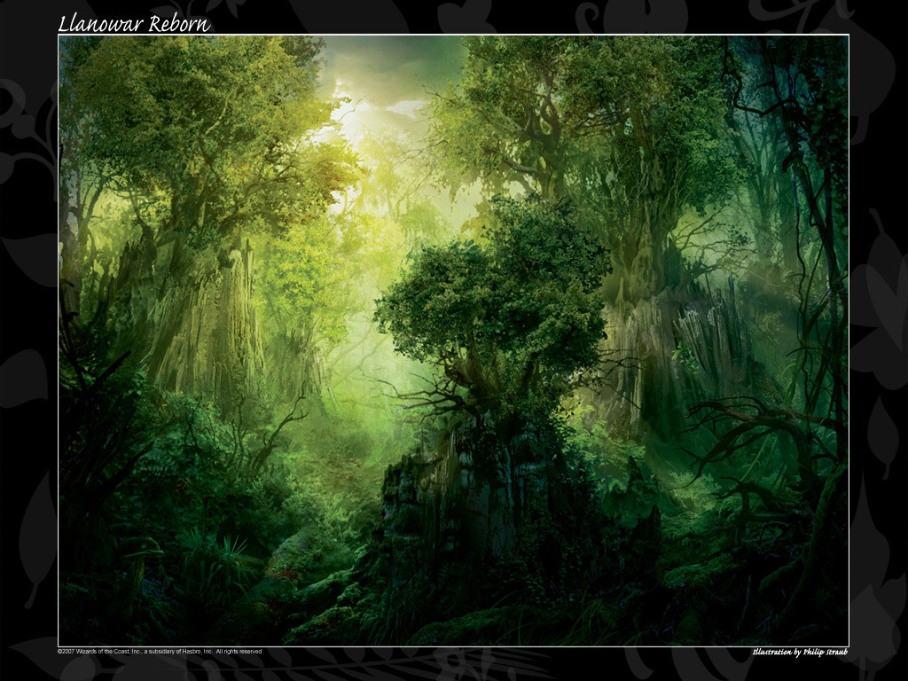 http://4.bp.blogspot.com/-1d6HCVoDRPY/Tf8Q4Ka-0II/AAAAAAAAAxY/jGRue500-hQ/s1600/enchanted-forest-t5-woods.jpg