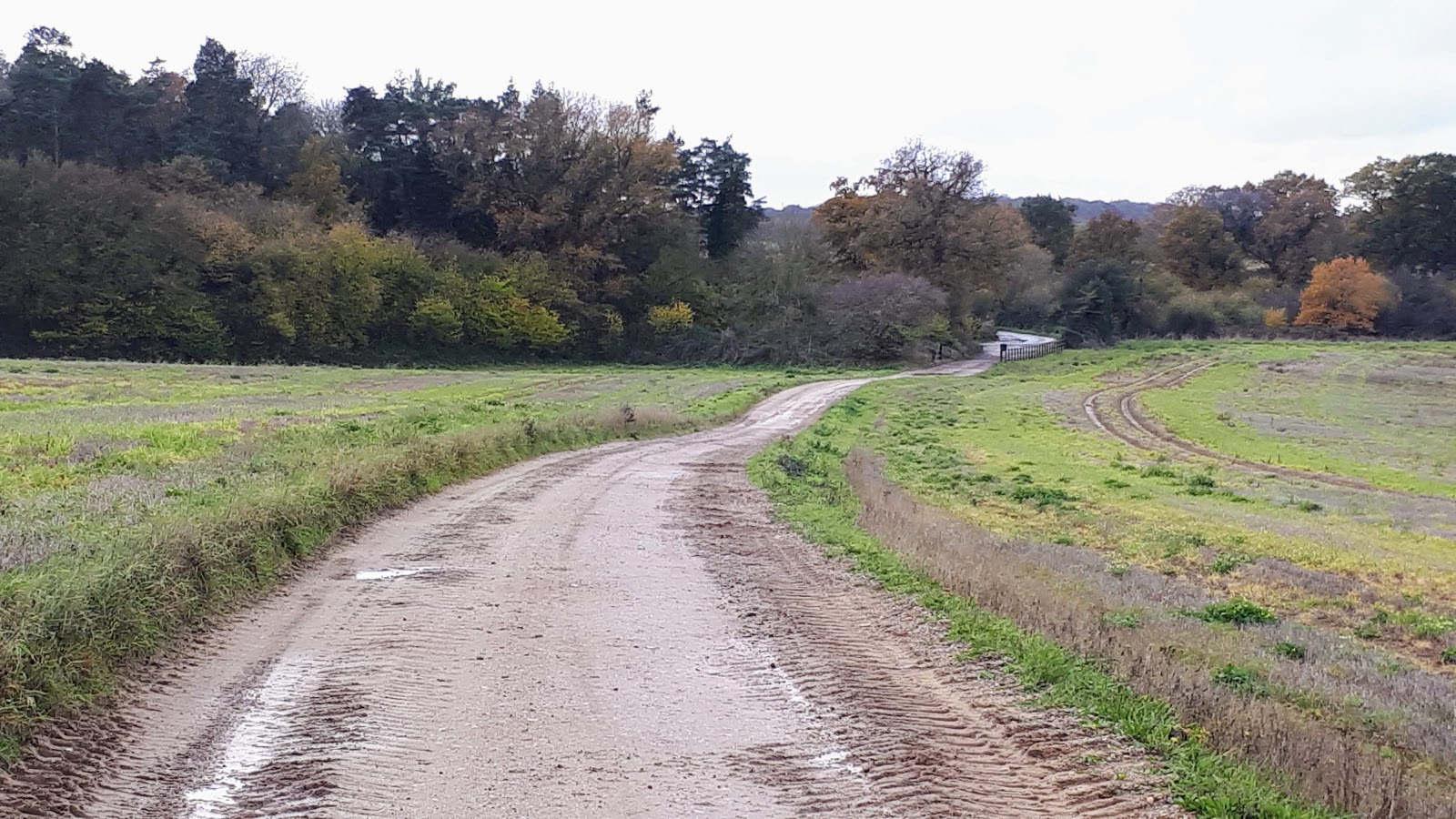 Track leading down to Dobbs Lane