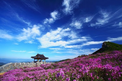 pulau sagori pulau sagori