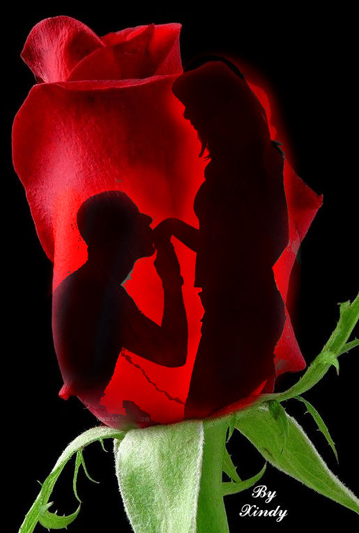 رومانسية وردة حمراء احبك Makusia Images