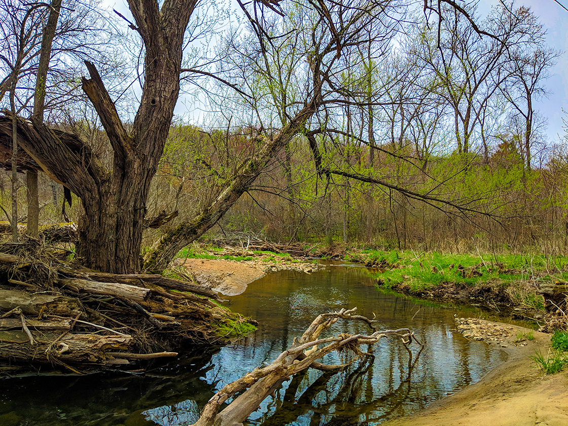 Hiking Honey Creek State Natural Area