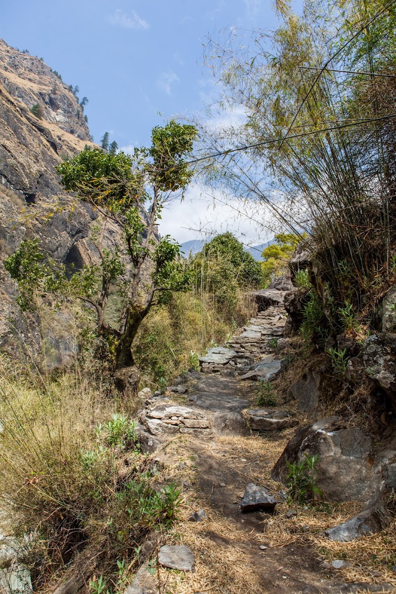 200км по красно-белым черточкам.. Around Annapurna. март-апрель 2017