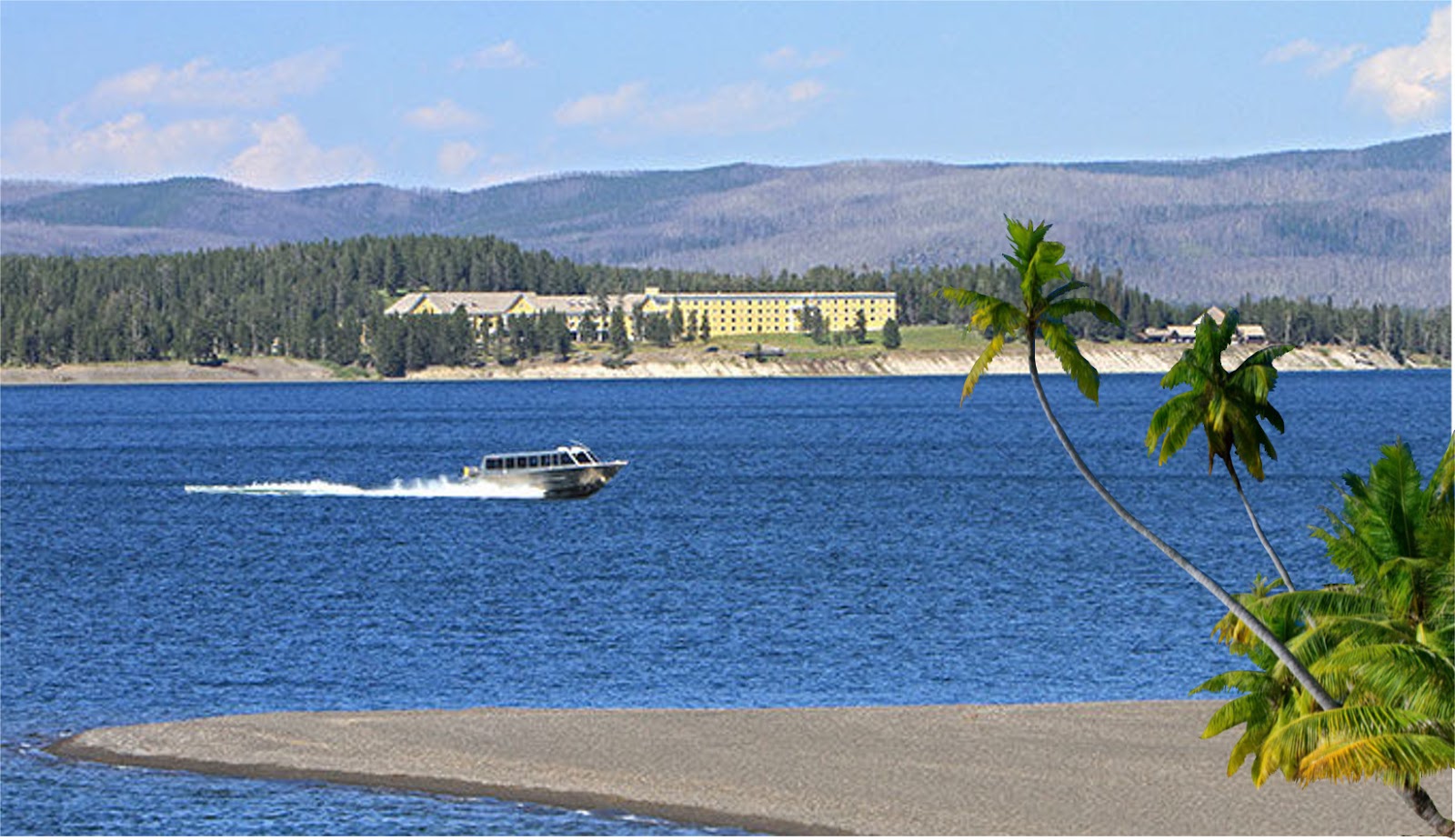 Fly Fishing In Yellowstone National Park Palm Trees, Figs and Dates