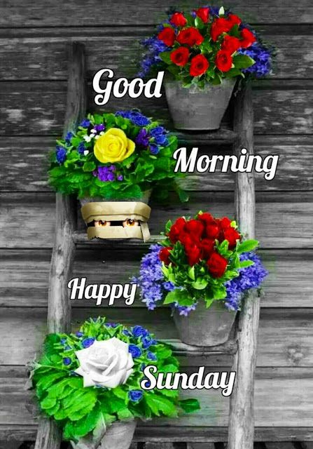 happy sunday images for whatsapp