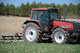 Harrowing sunflowers