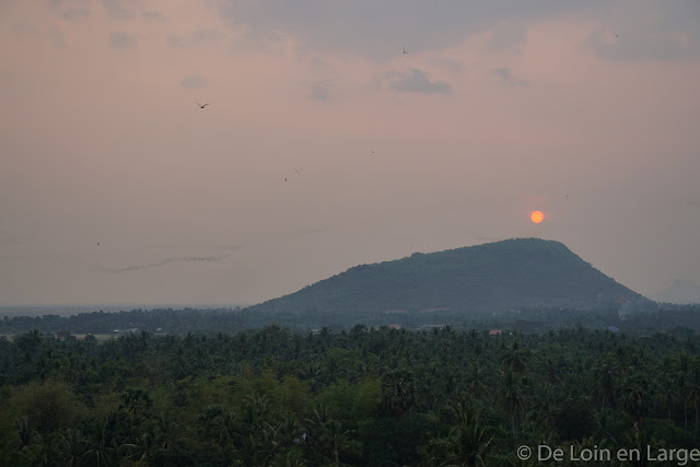 Rivière de chauves-souris - Campagne de Battambang - Cambodge