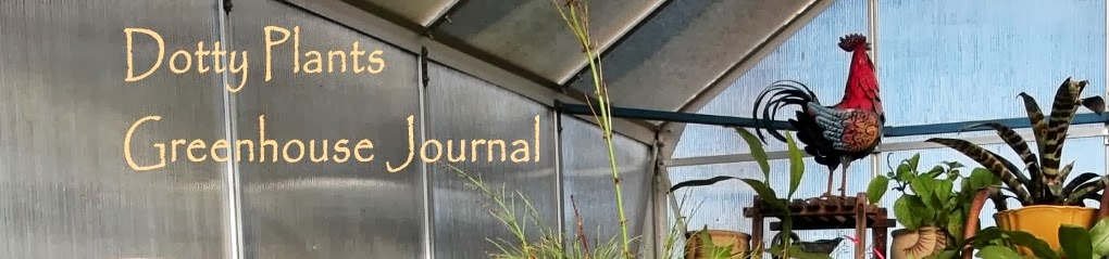 Dotty Plants Greenhouse Journal