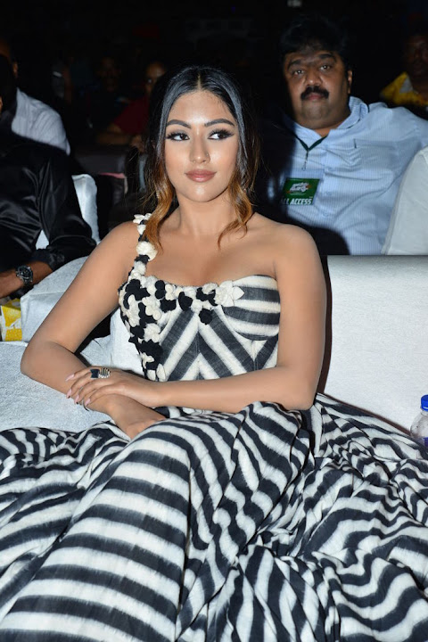 Anu Emmanuel at Naa Peru Surya Naa Illu India Pre Release Event