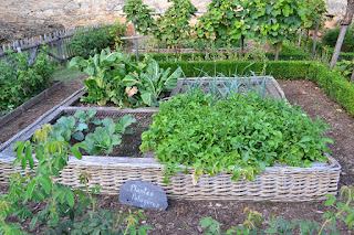 Easy Ways to Cultivate Your Vegetable Garden Easy Ways to Cultivate Your Vegetable Garden