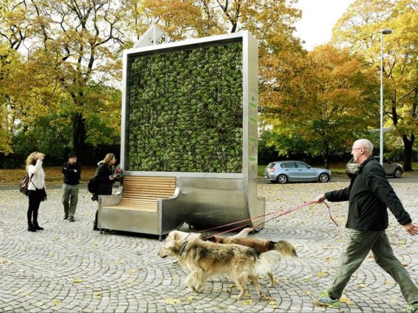 地味だけどすごい“コケ”で街の空気を浄化する？【o】　ドイツのグリーン・シティ・ソリューションズ　緑の壁