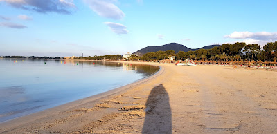 port d'alcudia, playa, plaża na majorce, plaża w alcudi
