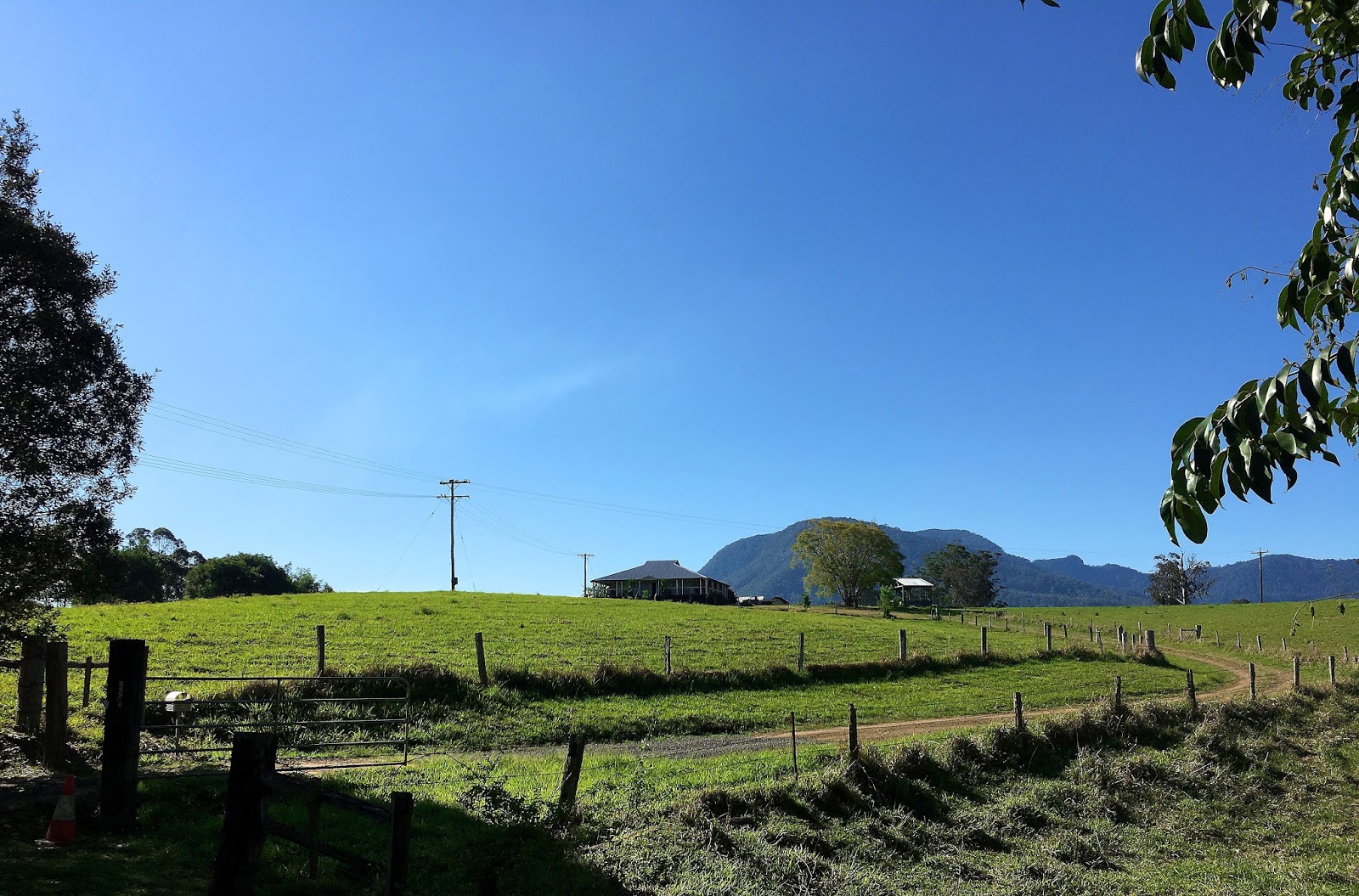 A trip to Byron Bay is not complete without visiting the hippie capital of Australia-Nimbin. For my third time to Nimbin I joined a day trip with Happy coach and Princess Fiona.