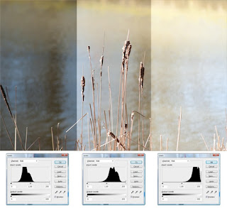 Cara Memanfaatkan Histogram Pada Kamera DSLR Cara Memanfaatkan Histogram Pada Kamera DSLR