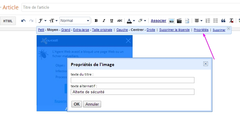 texte alternatif sur Blogger