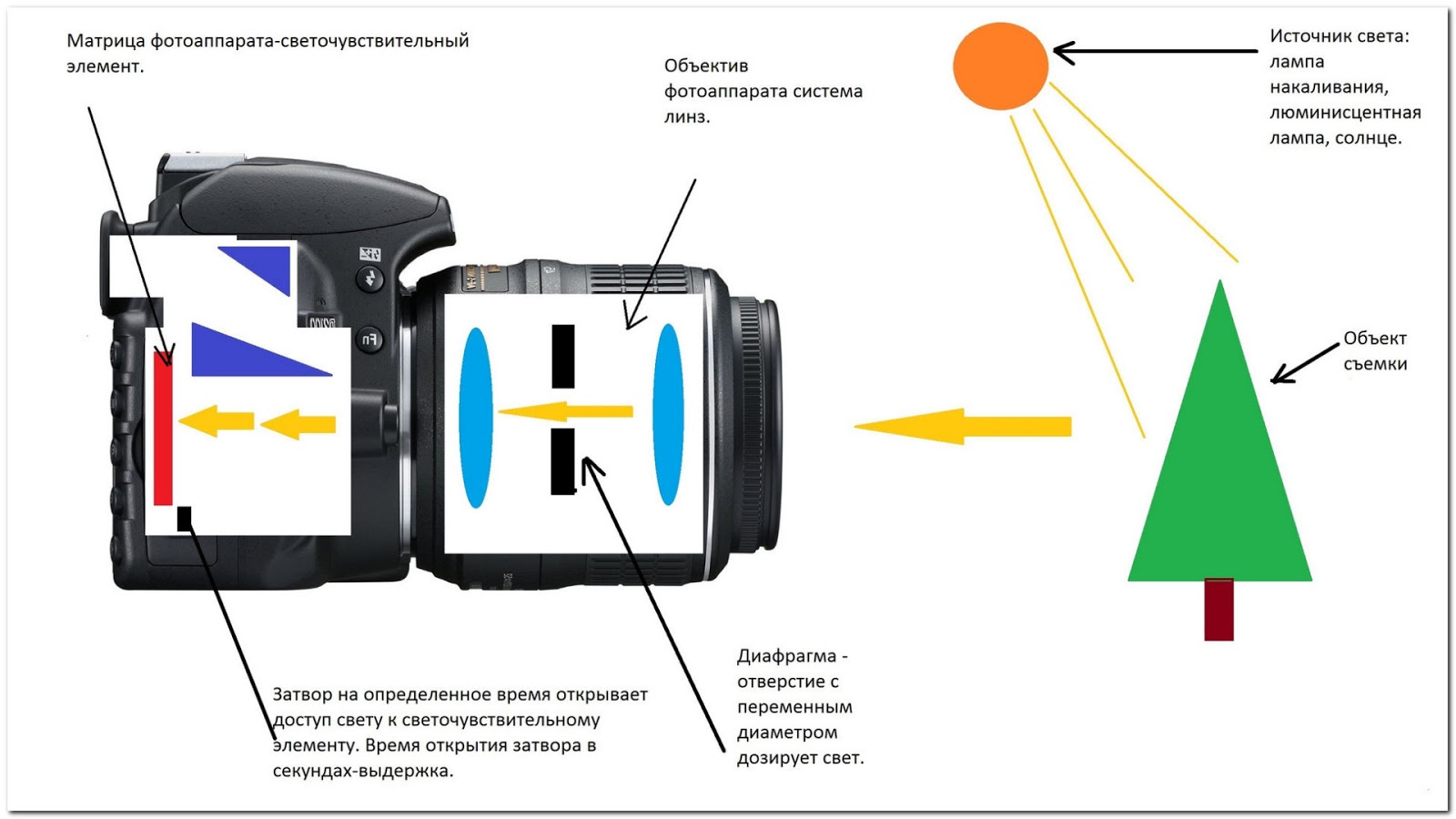 Оптическая схема фотоаппарата. Объектив фотоаппарата тзатрор схема. Принцип работы объектива фотоаппарата. Зеркальный фотоаппарат схема строения. Элементы оптической системы фотоаппарата.