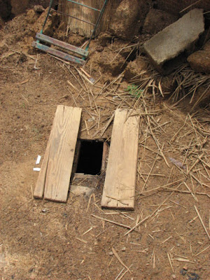 pit-latrine-toilet