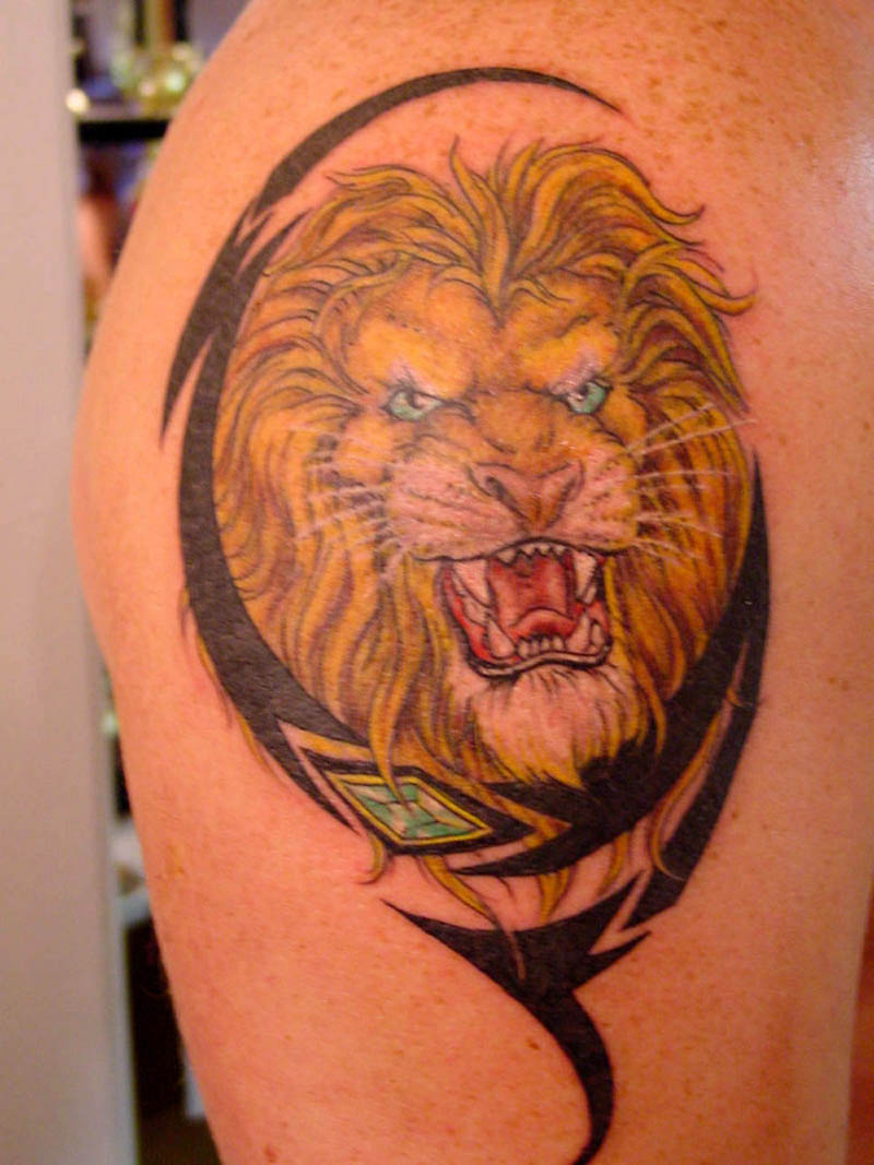 Wild Tattoos  Lion Tattoo  Designs 