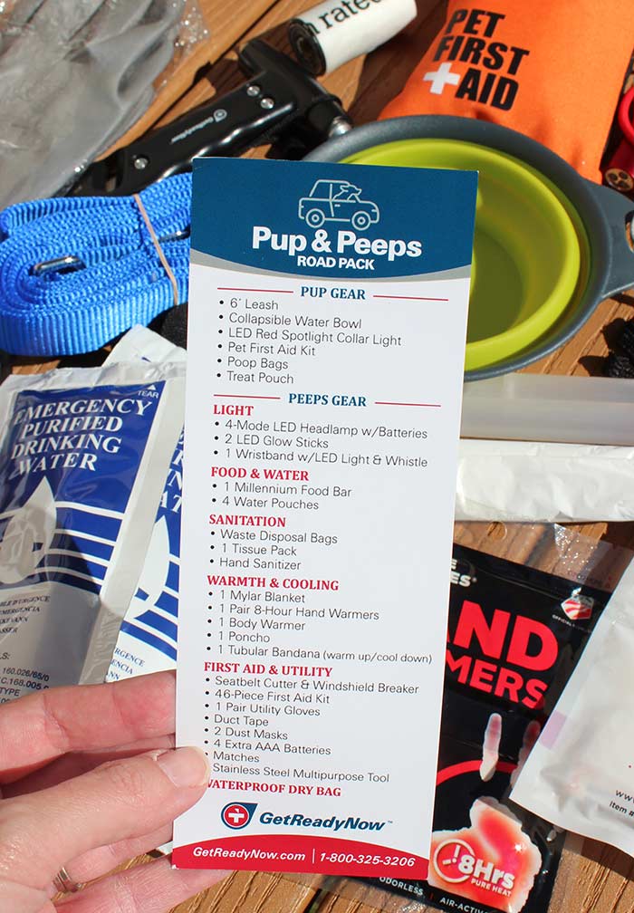 Pet Preparedness Essentials You Need to Be Ready Now Sunny Day Family