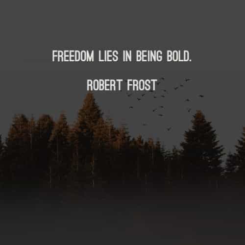 Freedom quotes that will honor people's liberty