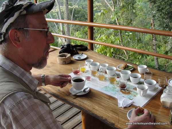 Travels With Carole: Bali, Indonesia: Mount Batur volcano ...