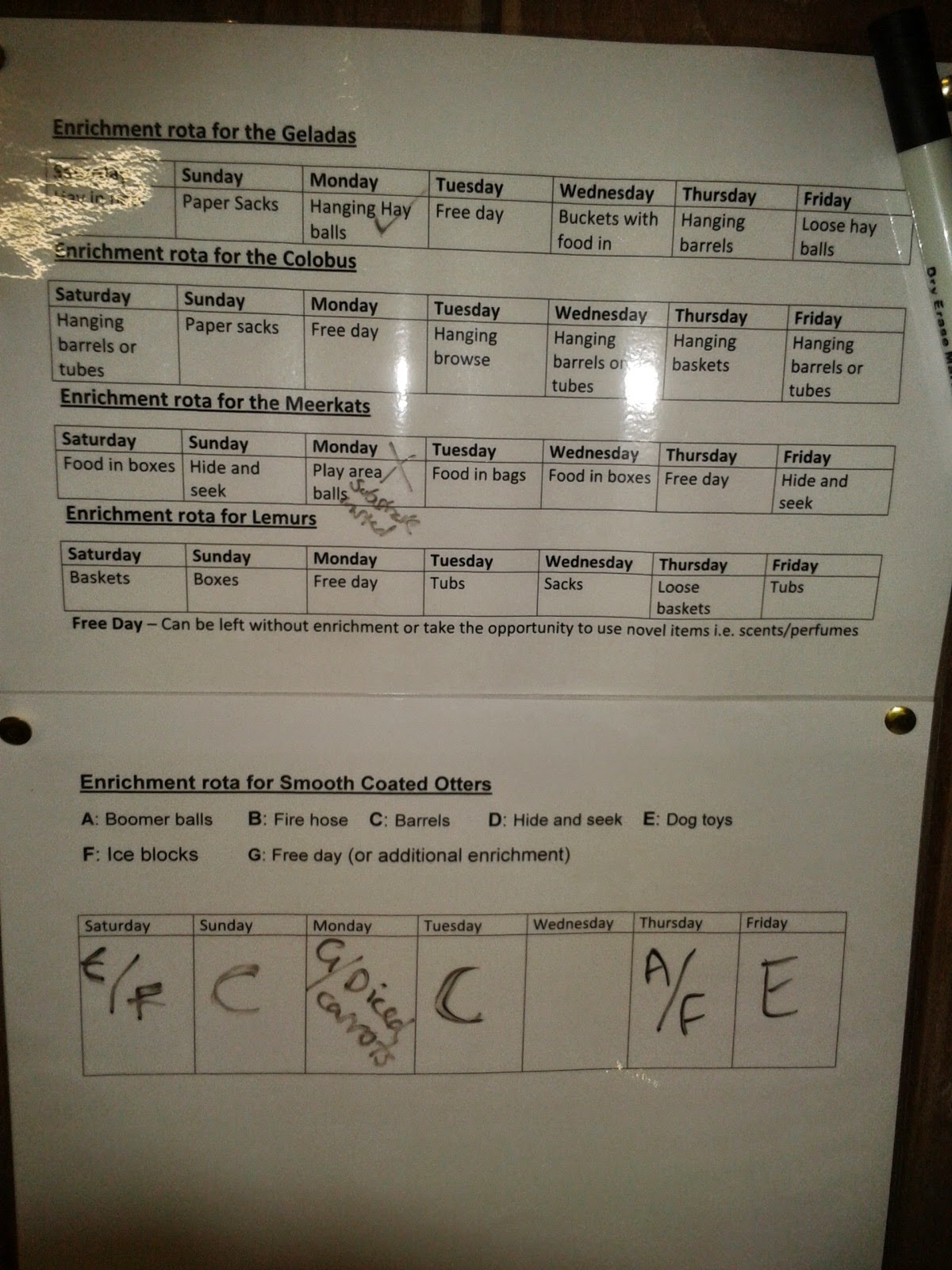 My Zookeeper / Vet Nurse Diary and Adventures! Zoo keeping What we