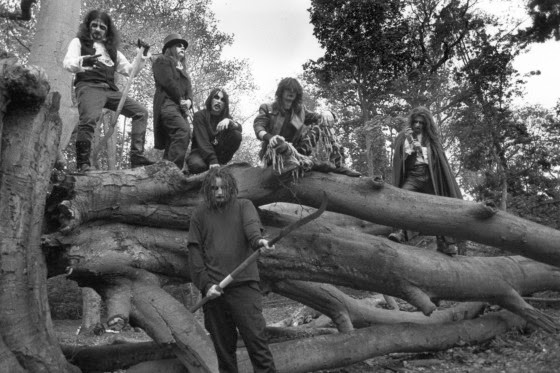 COF_Tree-e1395341119264.jpg