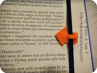 I progetti delle Grucce di Sara P.