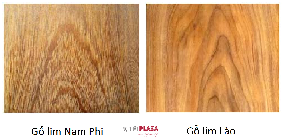 Nhận biết một số loại gỗ: Nội thất PLAZA 0963.360.360