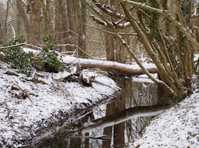 Rund um den Tröndelsee: Unser Winter-Spaziergang mit Schlitten. Kleine Bachläufe am Tröndelsee in Kiel sind auch für die Kinder toll!