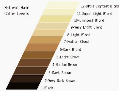 Killerstrands Hair Clinic: The Level System of Hair Color Does NOT Work  (but Rarely)