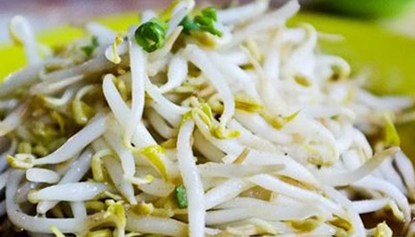 Ragam Manfaat Toge untuk Kesehatan Ragam Manfaat Toge untuk Kesehatan
