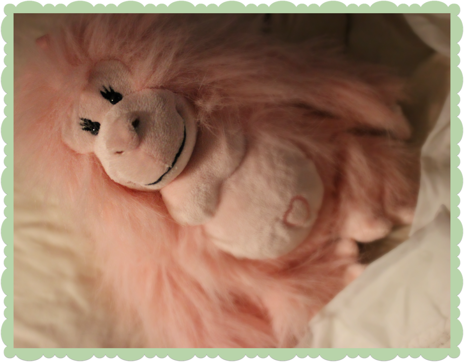 Rocks In The Washer The Pink Gorilla