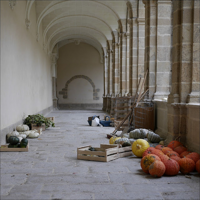 Cucurbitacées attendant d'être placées au bon endroit pour décorer le cloître Saint-Sauveur