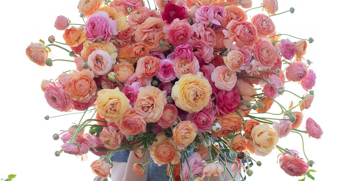 Floret Farm's A Year in Flowers Designing Arrangements for