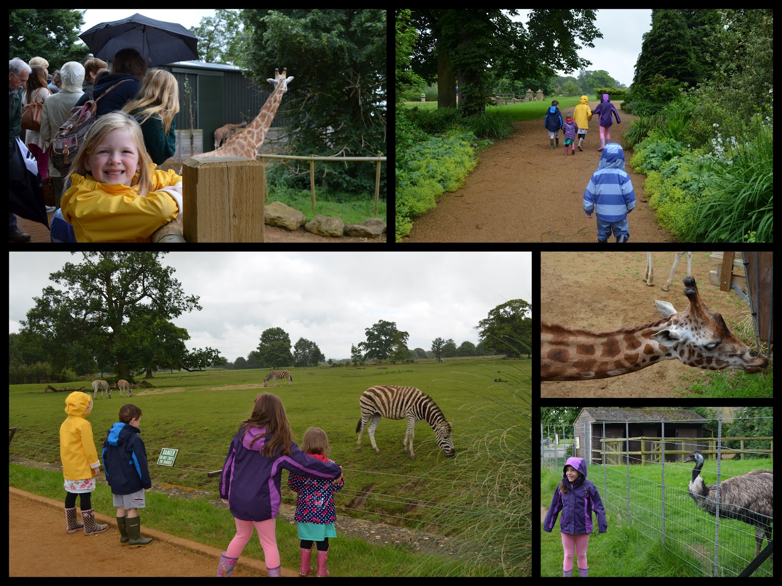 Schmidts in the UK! Day Out at the Cotswold Wildlife Park