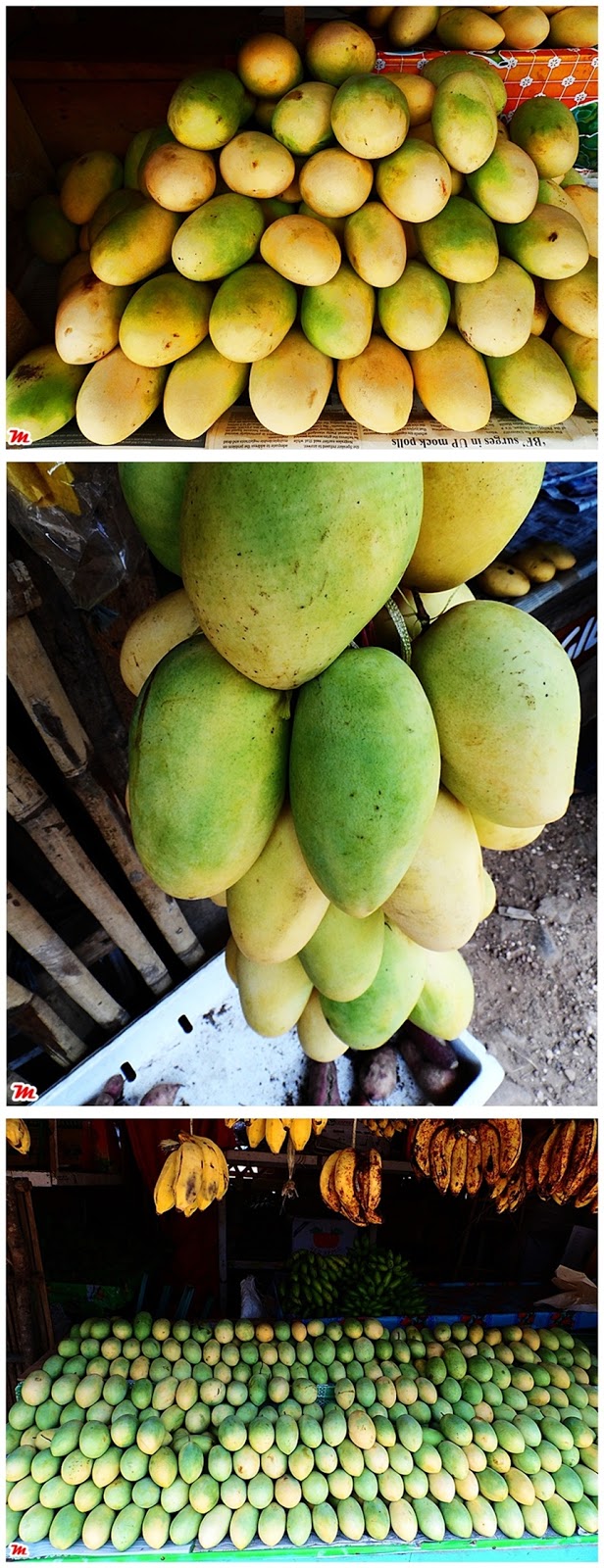 What Michael Likes Guimaras The Mango Capital of the Philippines