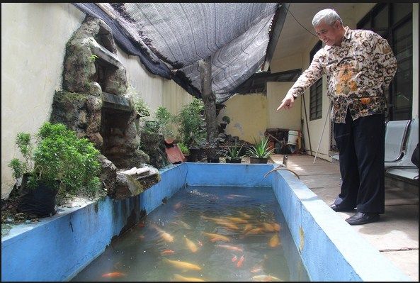 Contoh 49 Gambar Kolam Ikan Hias Minimalis Terbaik