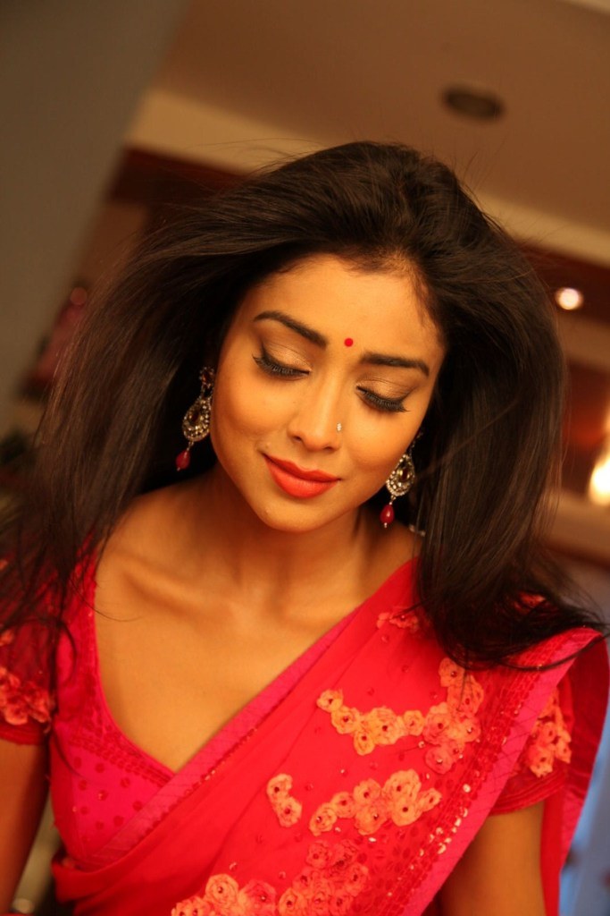 Guru Actress Hot Shriya Saran In Saree Hot Photo Gallery Collections 