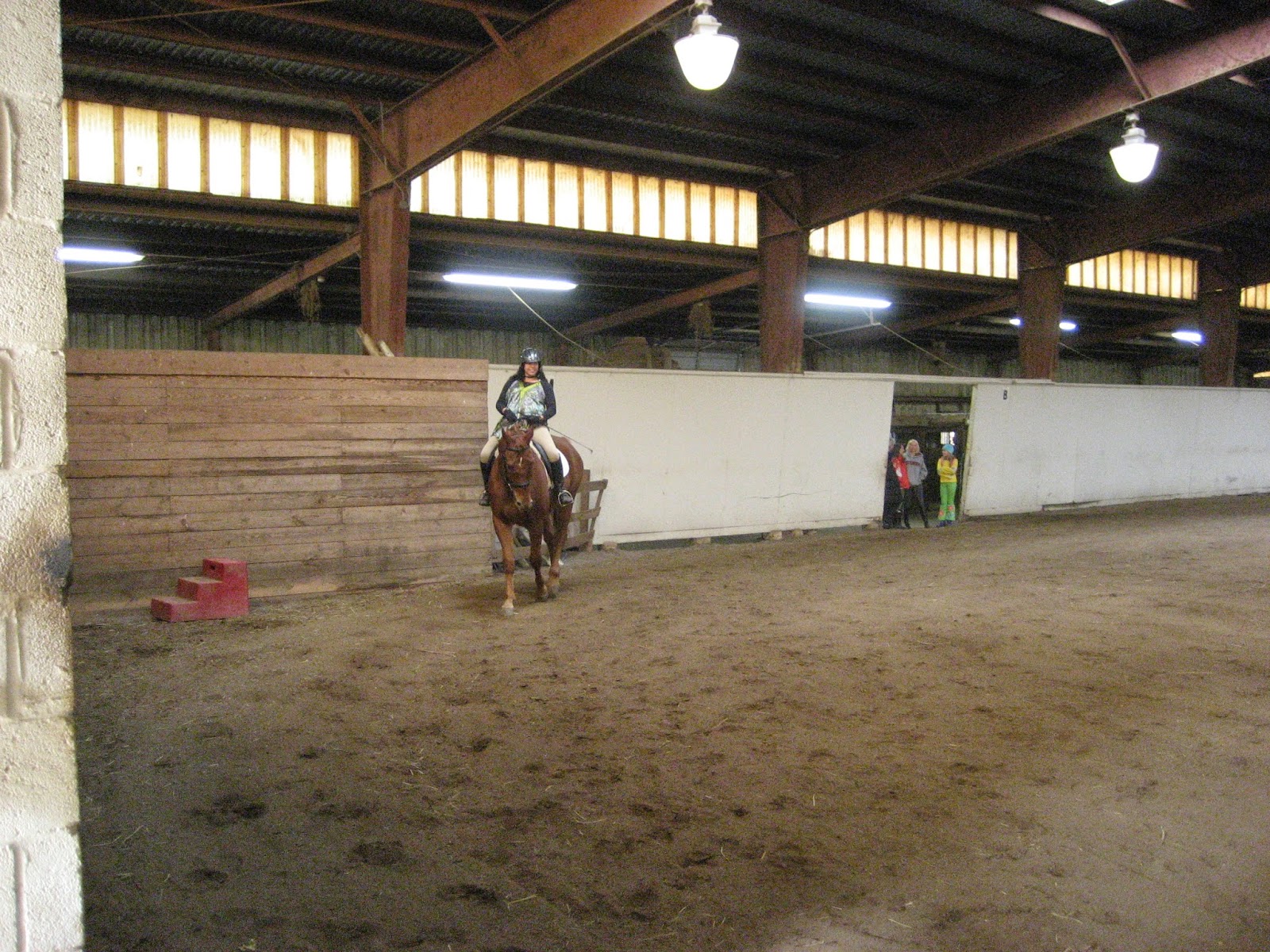 Do Horses Neigh When They Run? Why are horses so afraid of plastic bags?