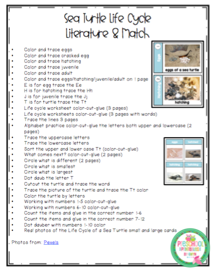 Sea Turtle Life Cycle Math and Literature (Updated!) ~ Preschool Printables