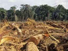 Foto Gambar pencemaran udara Foto Gambar pencemaran udara