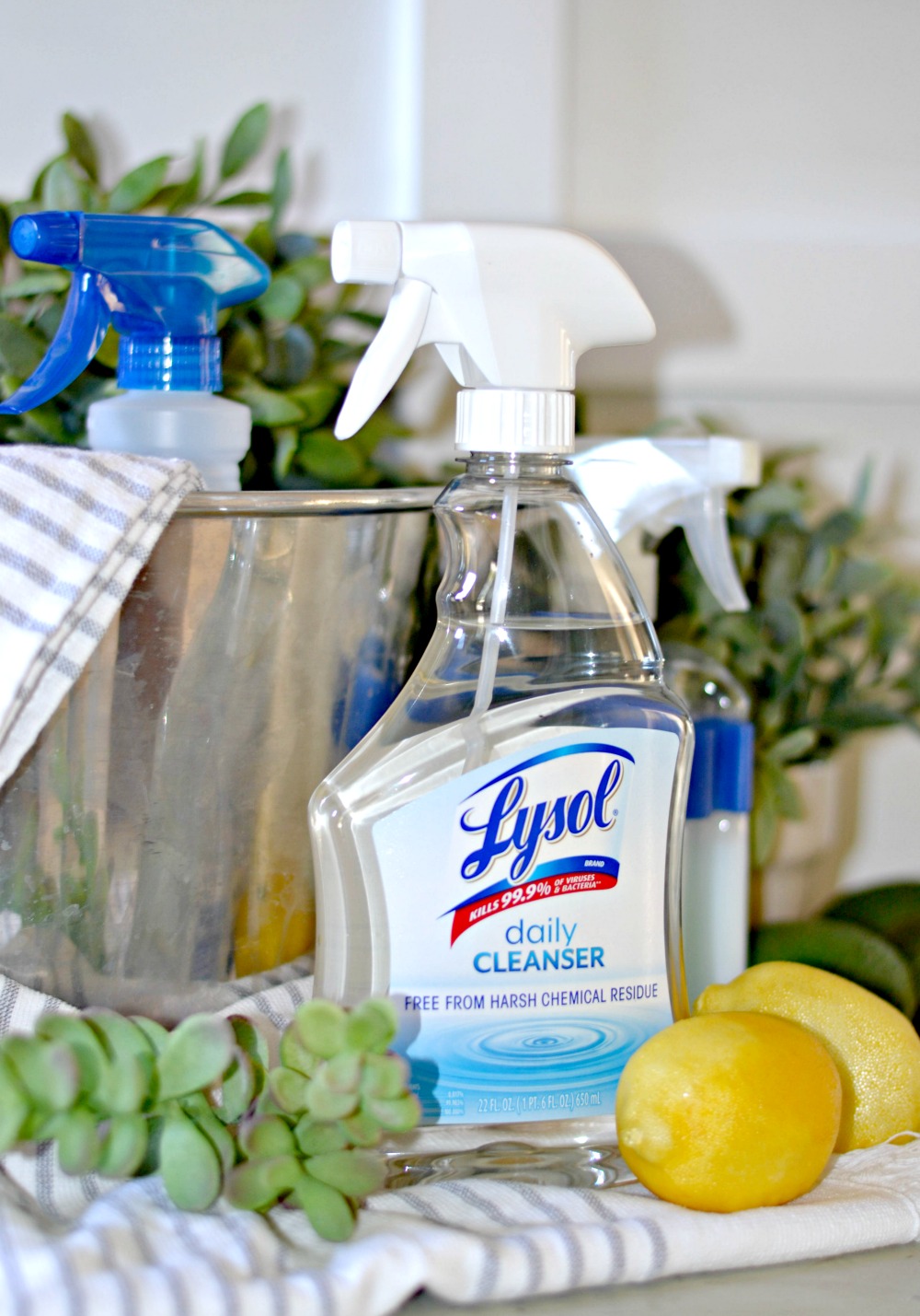 lysol daily cleanser