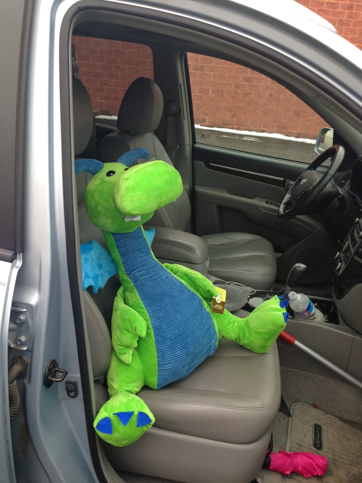 Kingsbrook Animal Hospital's Blog Kingsbrook Animal Hospital Gives Back to Local Frederick, Md